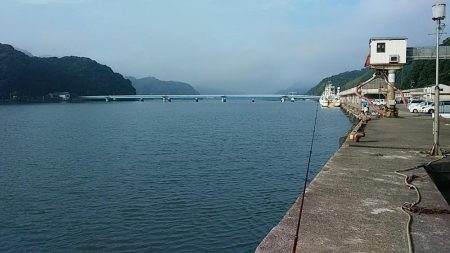 津居山漁港でキス狙い