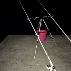 アナゴ釣りと夜光虫