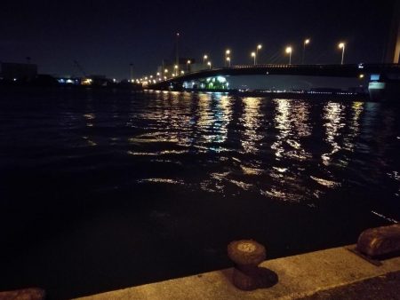 南港カモメ大橋釣行 （キビレ34cm、小メジナ釣果）