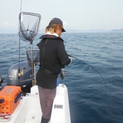 開進丸 釣果