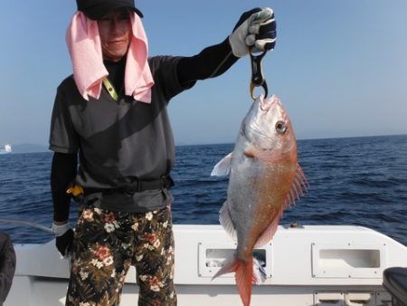 開進丸 釣果