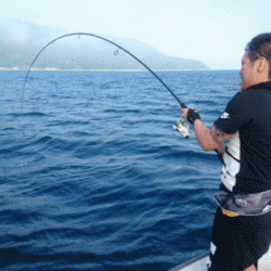 遊漁船ブルーウッズ 釣果