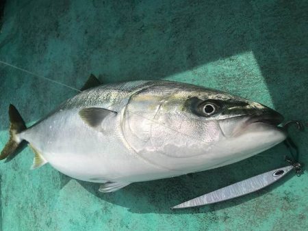 広進丸 釣果