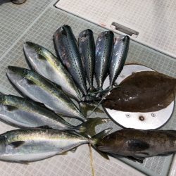 ふじしめ丸 釣果