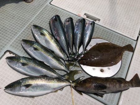 ふじしめ丸 釣果