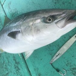 広進丸 釣果