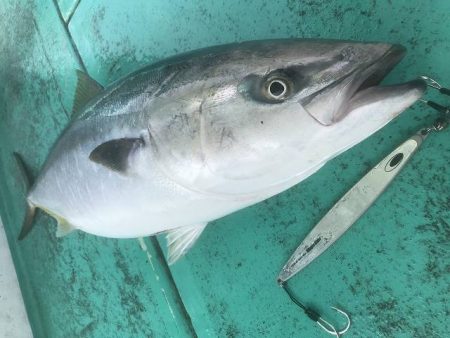 広進丸 釣果