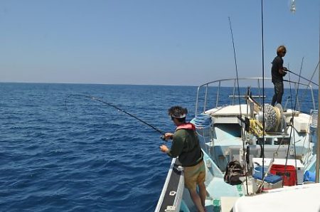 八海丸 釣果