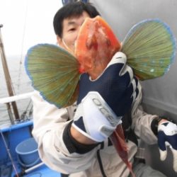 鯛紅丸 釣果