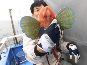 鯛紅丸 釣果