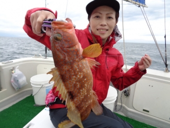 鯛紅丸 釣果