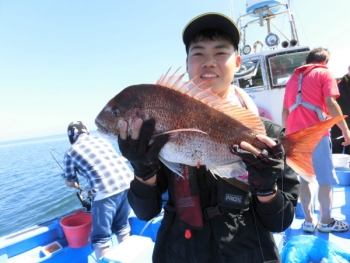 鯛紅丸 釣果