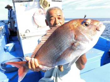 鯛紅丸 釣果