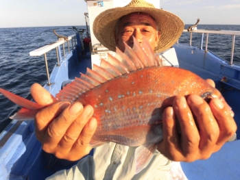 鯛紅丸 釣果