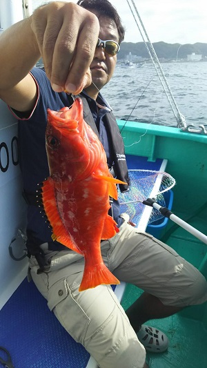 松栄丸 釣果