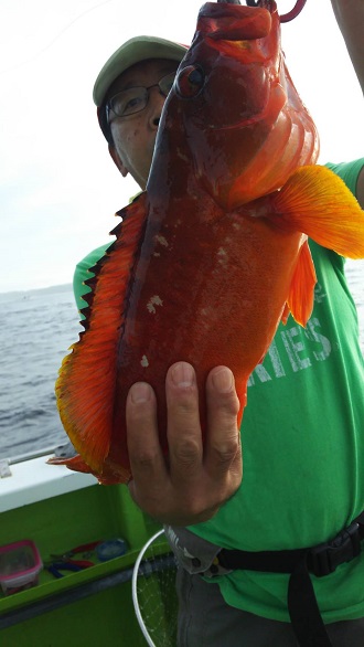 松栄丸 釣果