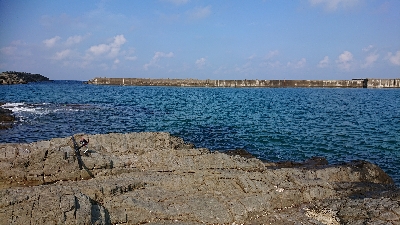 久しぶりの釣り