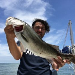 うさぎ丸 釣果