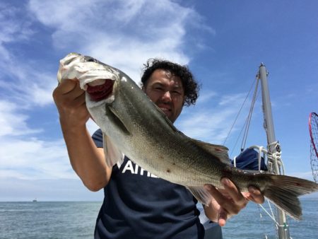 うさぎ丸 釣果