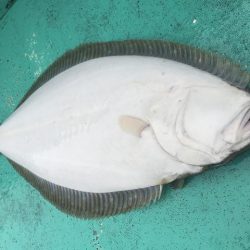 広進丸 釣果