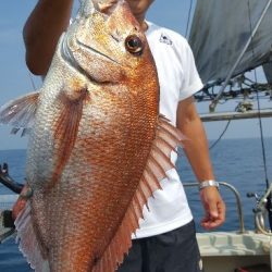 海峰 釣果