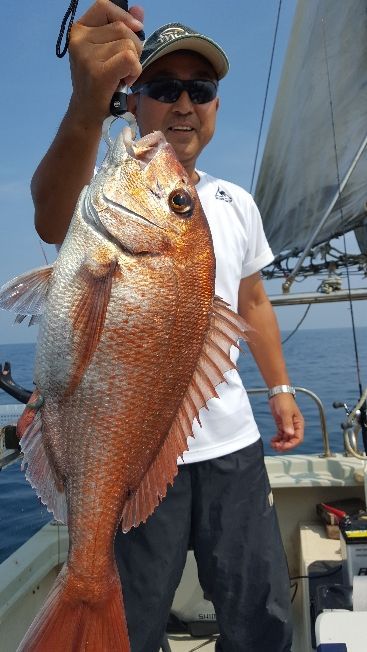 海峰 釣果