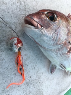 利弥丸（としやまる） 釣果