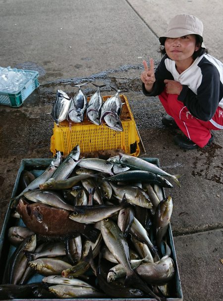 明神釣船 釣果