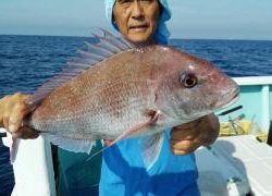 長栄丸(静岡) 釣果