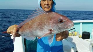 長栄丸(静岡) 釣果