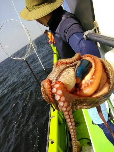 横内丸 釣果