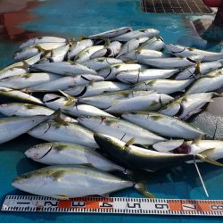 アジアマリンサービス 釣果