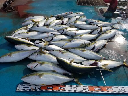 アジアマリンサービス 釣果