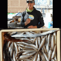 荒川屋 釣果