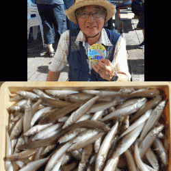 荒川屋 釣果