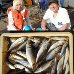 荒川屋 釣果