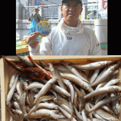 荒川屋 釣果