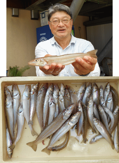 荒川屋 釣果