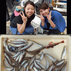 荒川屋 釣果