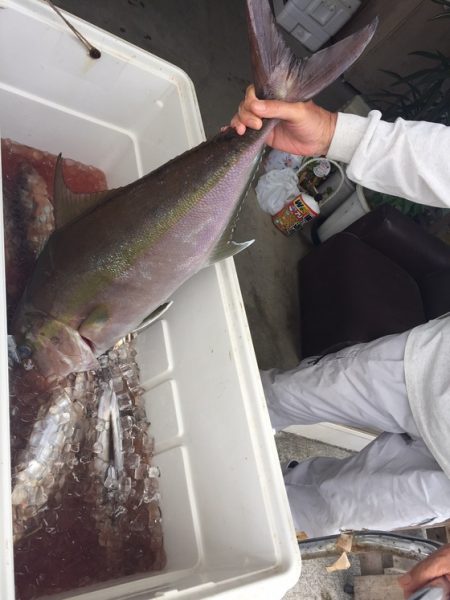 フィッシングハウス伊藤 釣果