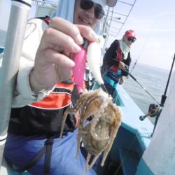 かもめ釣船 釣果