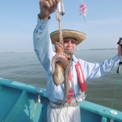 かもめ釣船 釣果