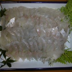 かもめ釣船 釣果