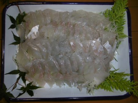 かもめ釣船 釣果