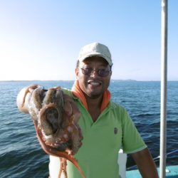 かもめ釣船 釣果