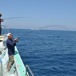 八海丸 釣果