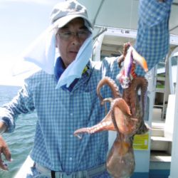 かもめ釣船 釣果