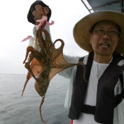 かもめ釣船 釣果