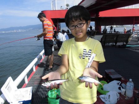 尼崎市立魚つり公園 釣果