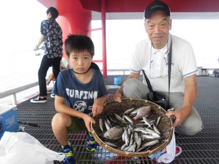 尼崎市立魚つり公園 釣果